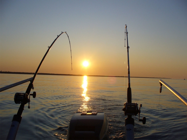 fishing de boat trip.jpg